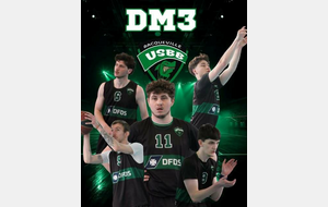 Monter en DM3